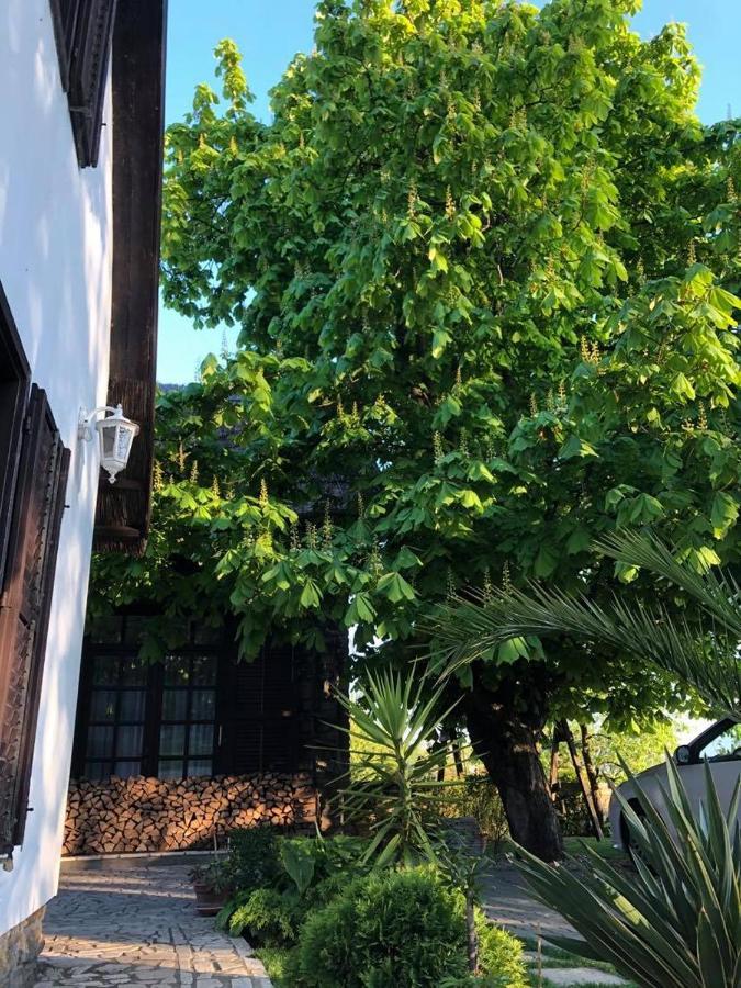 Echo Apartman Tihany Bagian luar foto